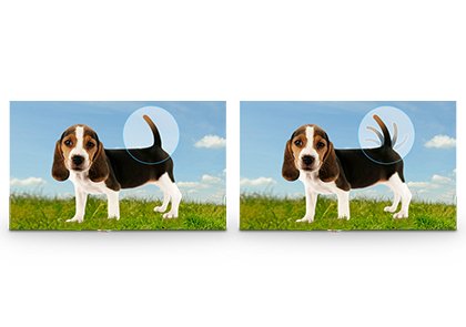 Добавьте своим фотографиям движения