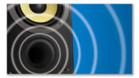 Акустическая система Bass Reflex