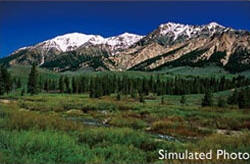 BenQ MS524 DLP 3D Projector