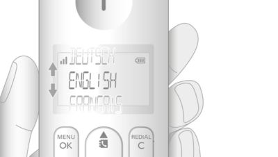 Меню на разных языках