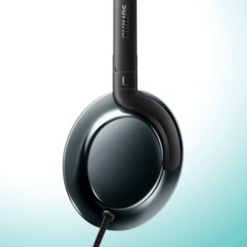 Изящная металлическая отделка