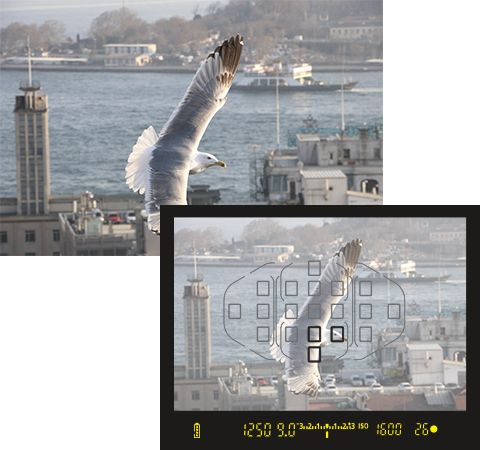 19-точечная автофокусировка