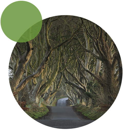 Съемка с невероятной детализацией