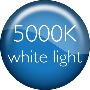 Лампы DiamondVision 5000 К придают холодный белый свет вашему автомобилю